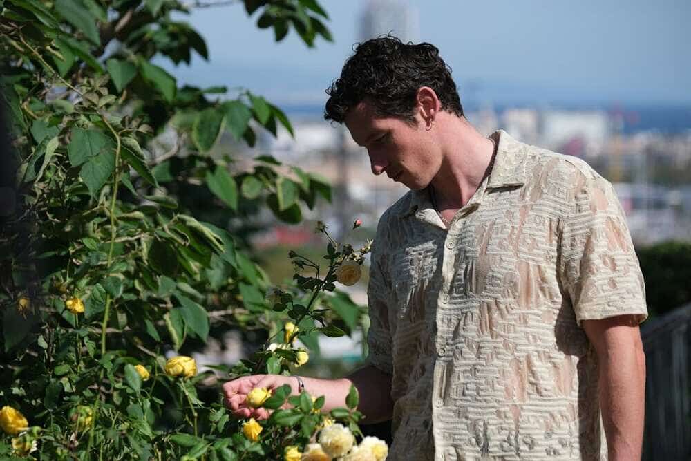 rosebush-pruning-movie