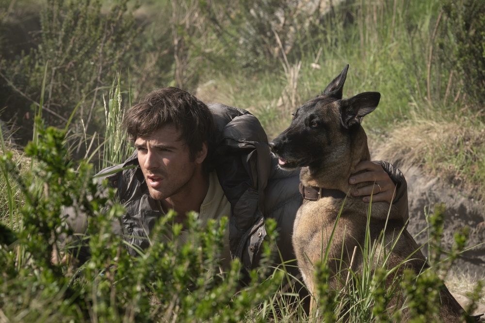 dog-stars-movie