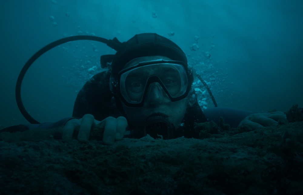 whalefall-movie